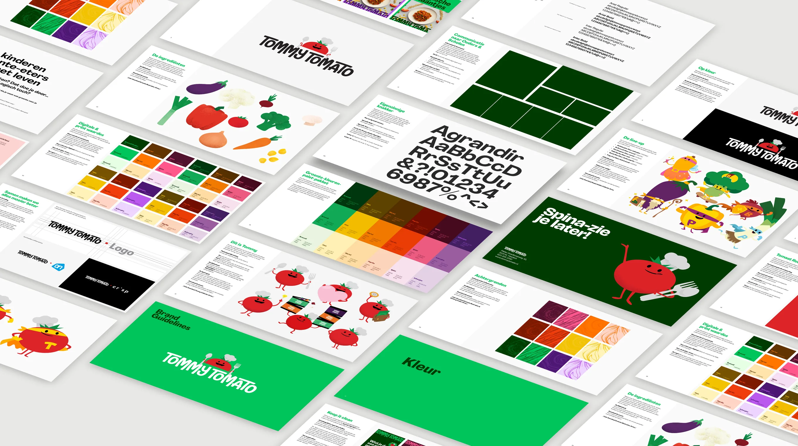 Spreads from the TommyTomato brand guidelines laid out in perspective